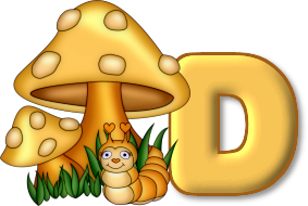 champignon-5605007777-4.png