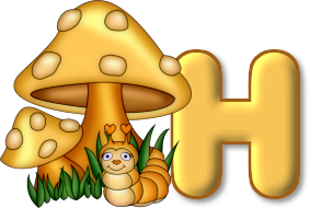 champignon-5605007777-8.png