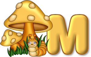 champignon-7685433-13.png