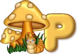 champignon-7685433-16.png