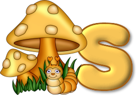 champignon-7685433-19.png