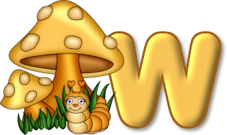 champignon-7685433-23.png