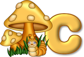 champignon-7685433-3.png