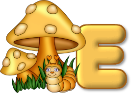 champignon-7685433-5.png