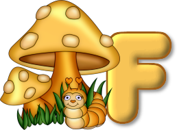 champignon-7685433-6.png