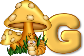 champignon-7685433-7.png