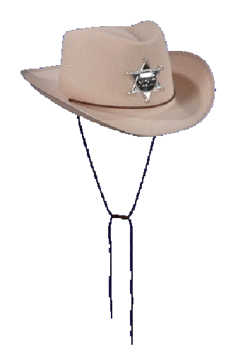 chapeaux-8434343454.png