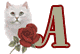 chat-009900909-1.gif