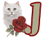 chat-009900909-10.gif
