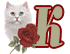 chat-009900909-11.gif
