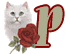 chat-009900909-16.gif
