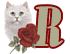 chat-009900909-18.gif