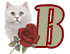 chat-009900909-2.gif