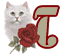 chat-009900909-20.gif