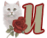 chat-009900909-21.gif