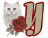 chat-009900909-25.gif