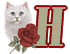 chat-009900909-8.gif