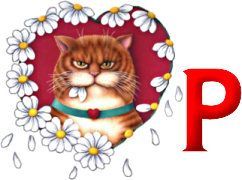 chat-090909-16.jpg