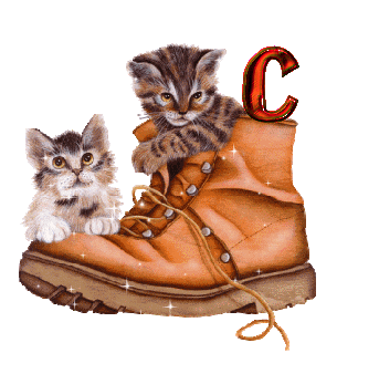 chat-2332323232-3.gif