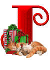 chat-330300000-10.png