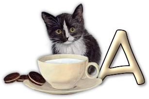 chat-3303005055-1.png
