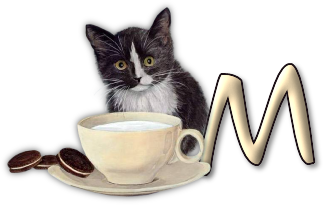 chat-3303005055-13.png