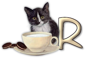 chat-3303005055-18.png