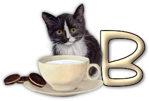 chat-3303005055-2.png