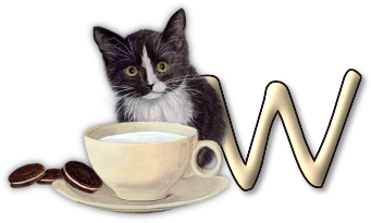 chat-3303005055-23.png