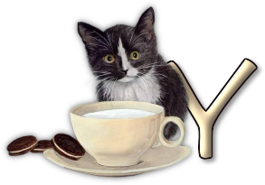 chat-3303005055-25.png