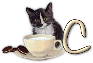 chat-3303005055-3.png