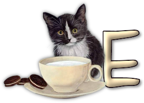 chat-3303005055-5.png