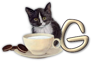 chat-3303005055-7.png