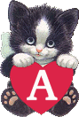 chat-4334005050-1.gif