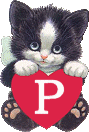 chat-4334005050-16.gif
