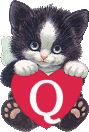 chat-4334005050-17.gif