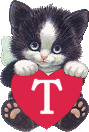 chat-4334005050-20.gif