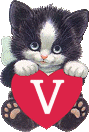 chat-4334005050-22.gif