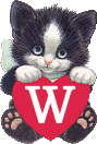 chat-4334005050-23.gif