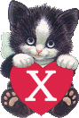 chat-4334005050-24.gif