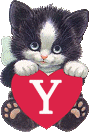 chat-4334005050-25.gif