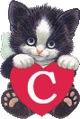 chat-4334005050-3.gif