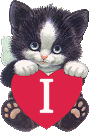chat-4334005050-9.gif