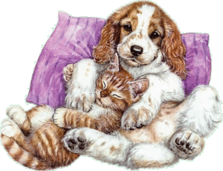 chat-et-chien-32323.gif