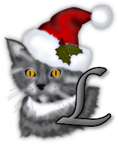 chat-noel-343445555-12.png