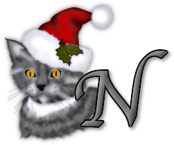 chat-noel-343445555-14.png