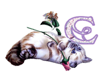 chat098-3.png
