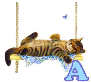 chat94884-1.jpg