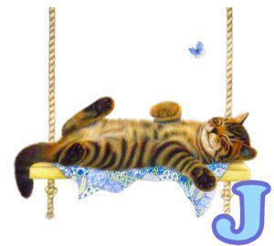 chat94884-10.jpg