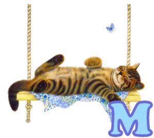 chat94884-13.jpg